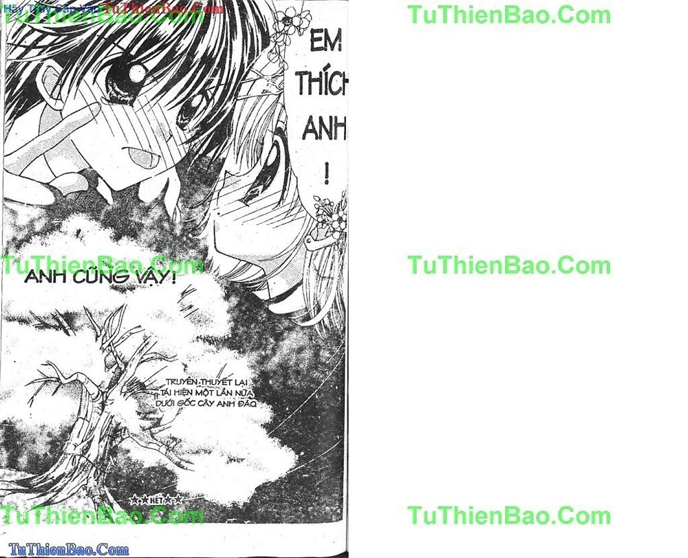 Viên Ngọc Nàng Tiên Cá: Chapter 7