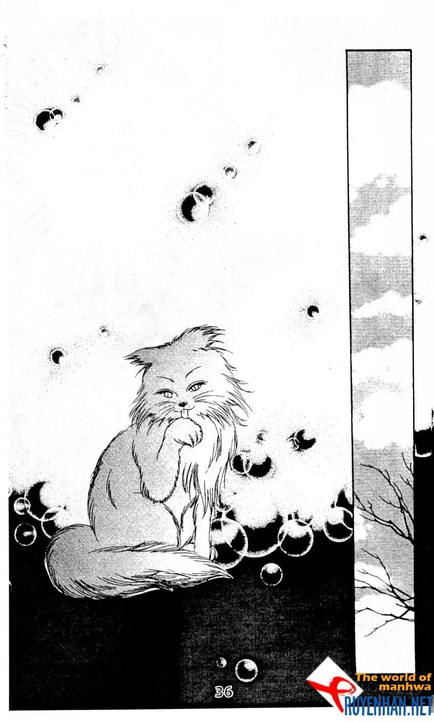 Chàng trai hào hiệp: Chapter 12