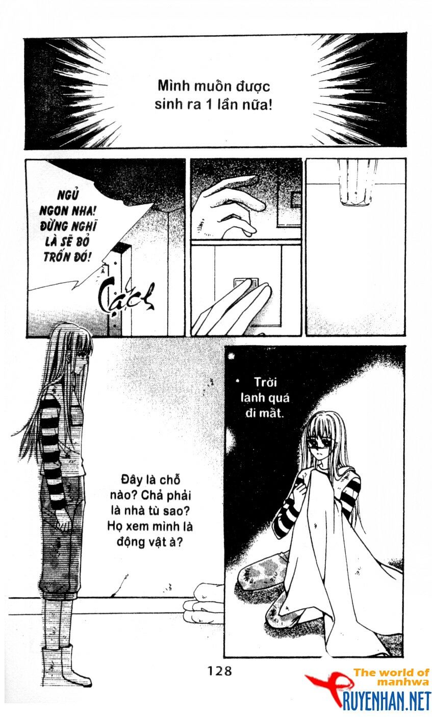 Chàng trai hào hiệp: Chapter 8