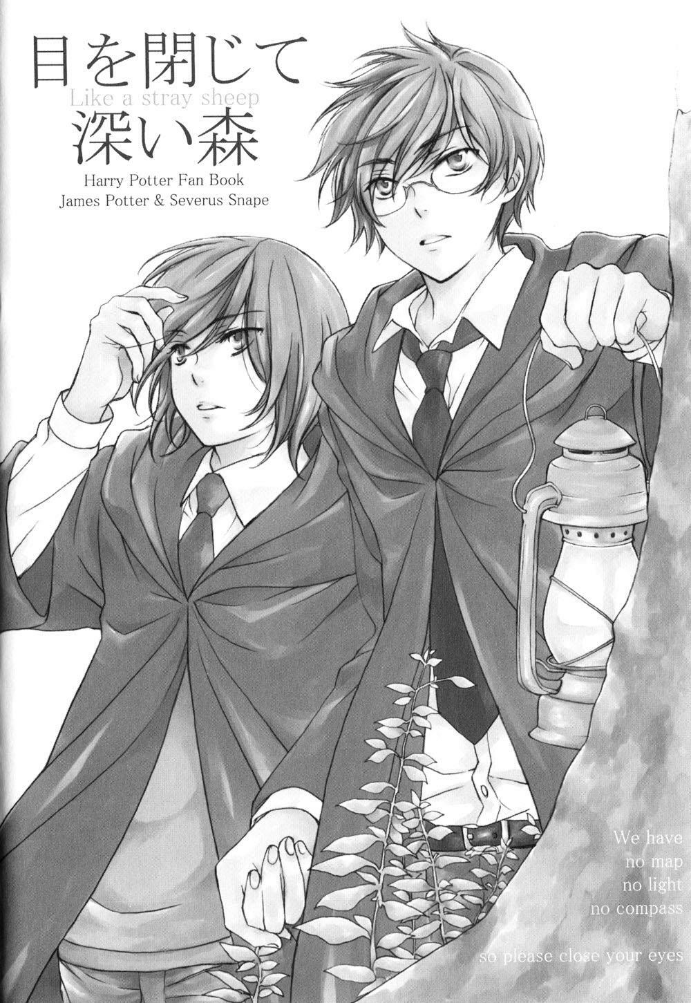 Harry Potter Doujinshi - The World 2: Chapter 3