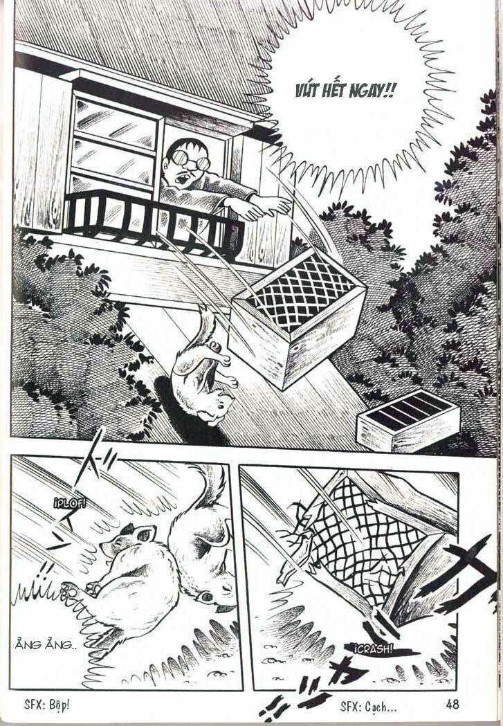 The Bug boy: Chapter 2