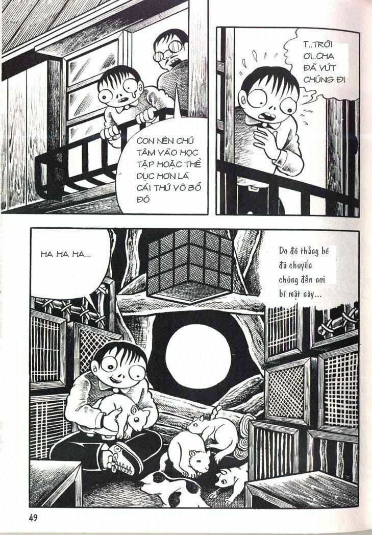 The Bug boy: Chapter 2