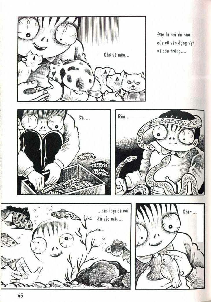 The Bug boy: Chapter 2