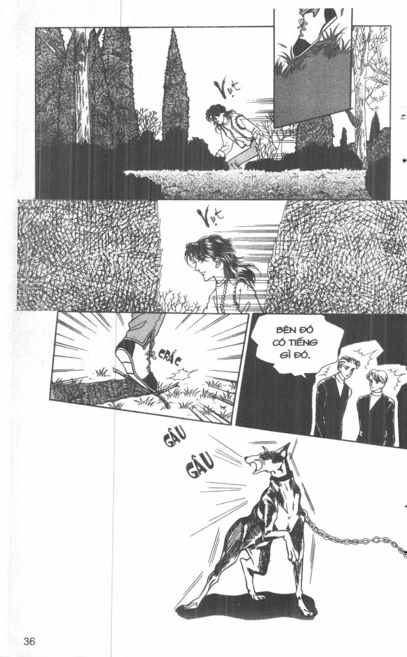 Đừng Chống Đối: Chapter 6: - Full