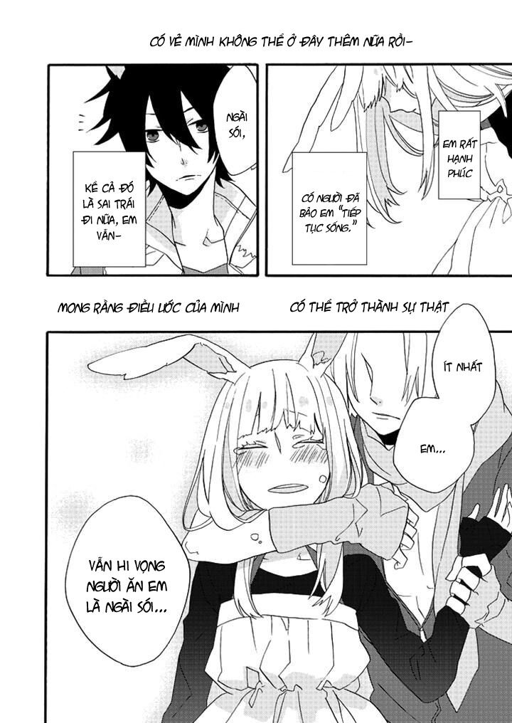 Strong Chase Weak Animato: Chapter 1
