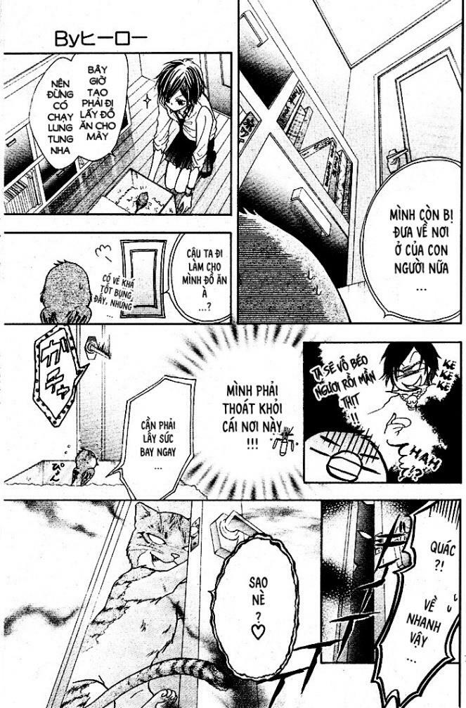 By Hero [S.A]: Chapter 1: One shot