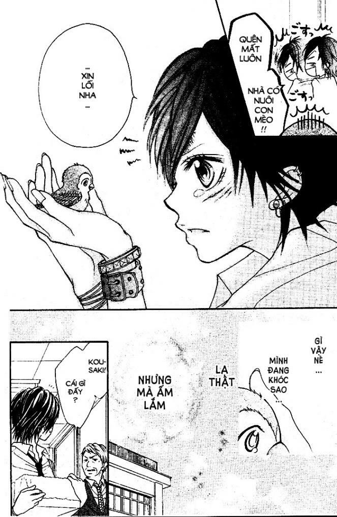 By Hero [S.A]: Chapter 1: One shot