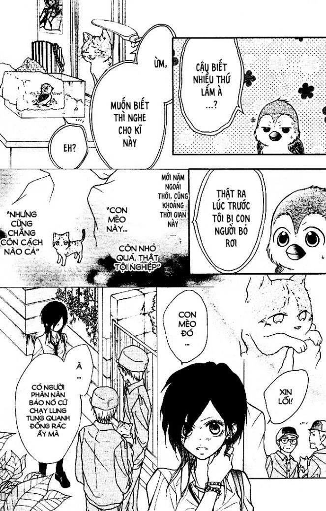 By Hero [S.A]: Chapter 1: One shot