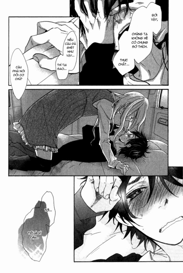 Lời Tựa ánh Sao: Chapter 6