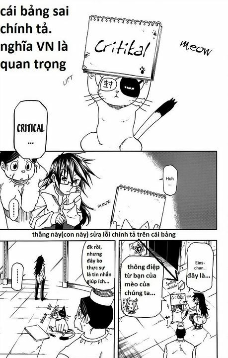 Tripeace: Chapter 29