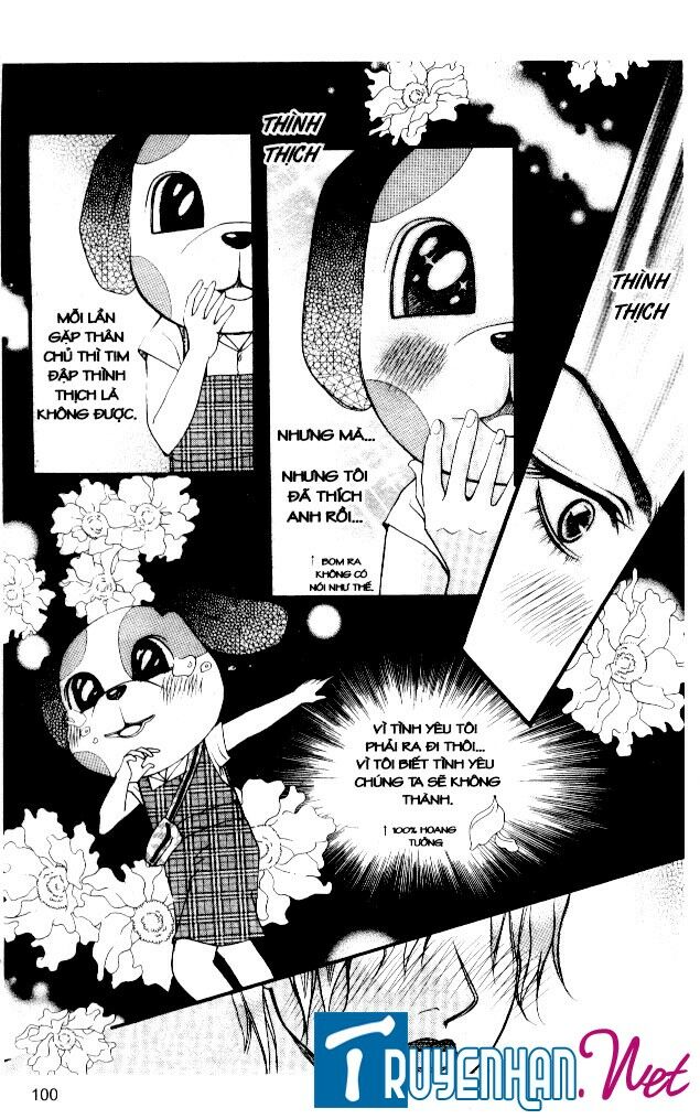 Thiên Thần Bảo Hộ: Chapter 14