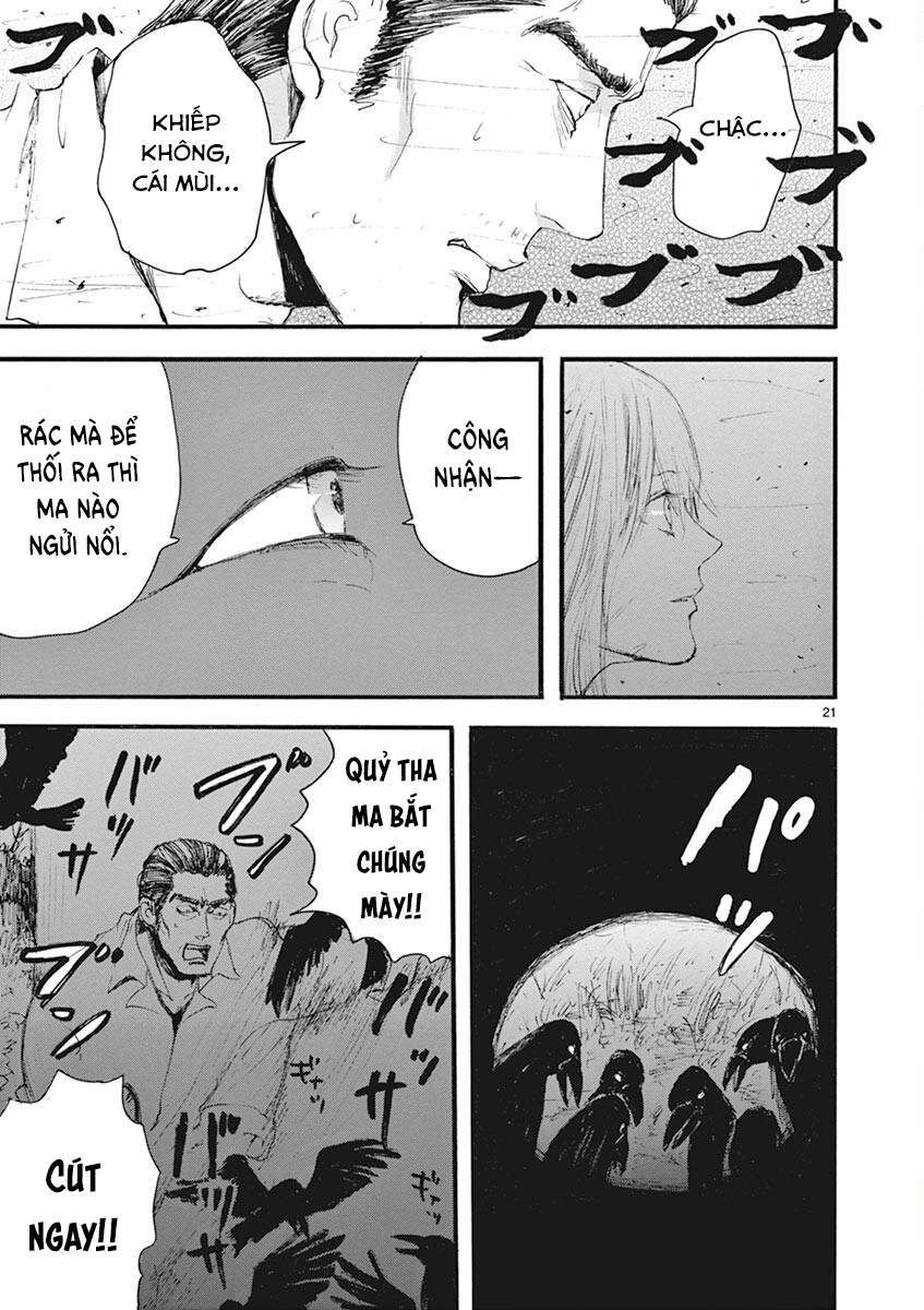 Tia Sáng Xinh Đẹp: Chapter 19: Khu vườn ngập nắng