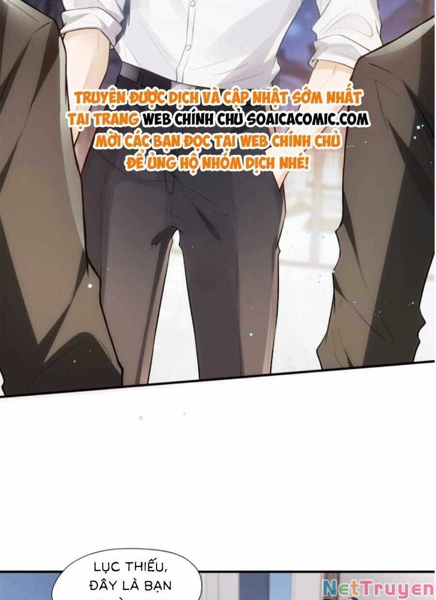 Vợ Của Lục Tổng Không Phải Dạng Vừa: Chapter 12