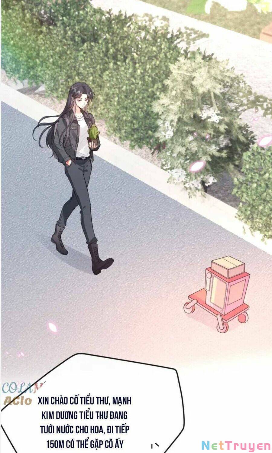 Vợ Của Lục Tổng Không Phải Dạng Vừa: Chapter 18