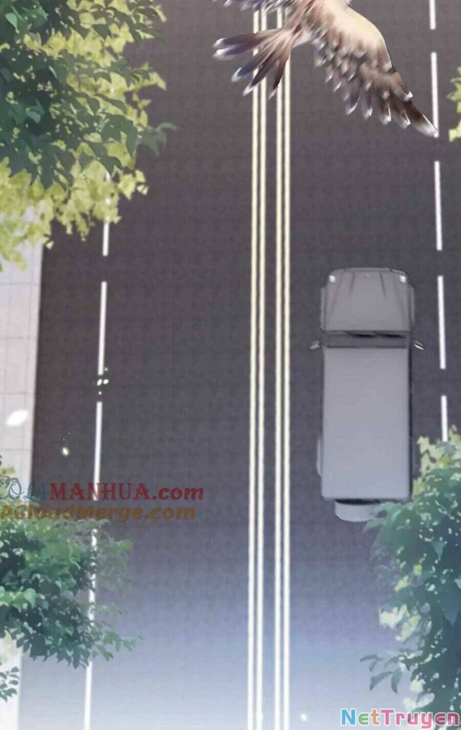 Vợ Của Lục Tổng Không Phải Dạng Vừa: Chapter 22