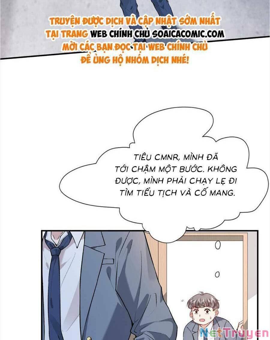 Vợ Của Lục Tổng Không Phải Dạng Vừa: Chapter 25