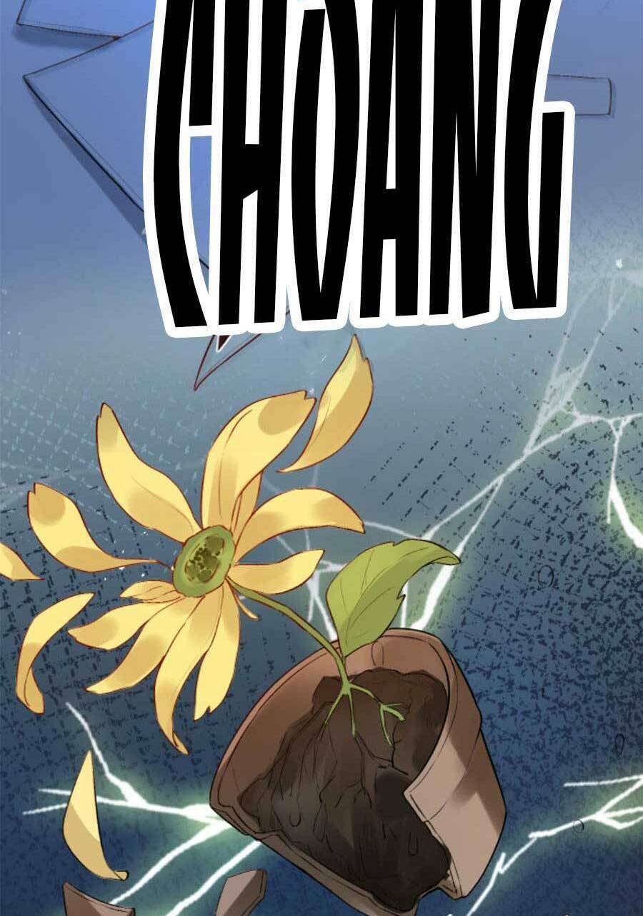 Vợ Của Lục Tổng Không Phải Dạng Vừa: Chapter 33