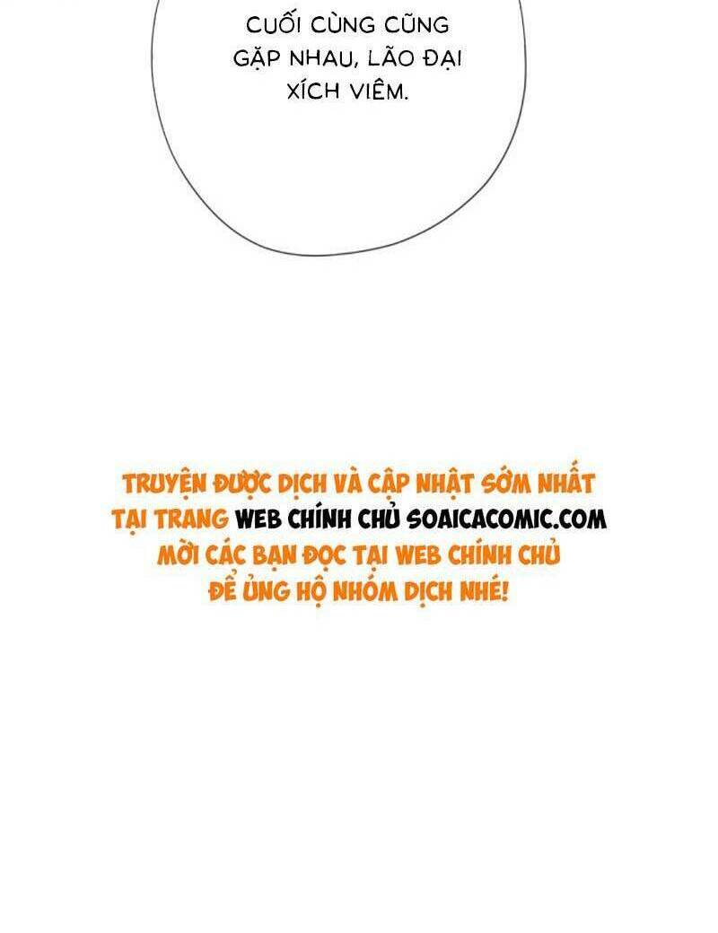 Vợ Của Lục Tổng Không Phải Dạng Vừa: Chapter 81