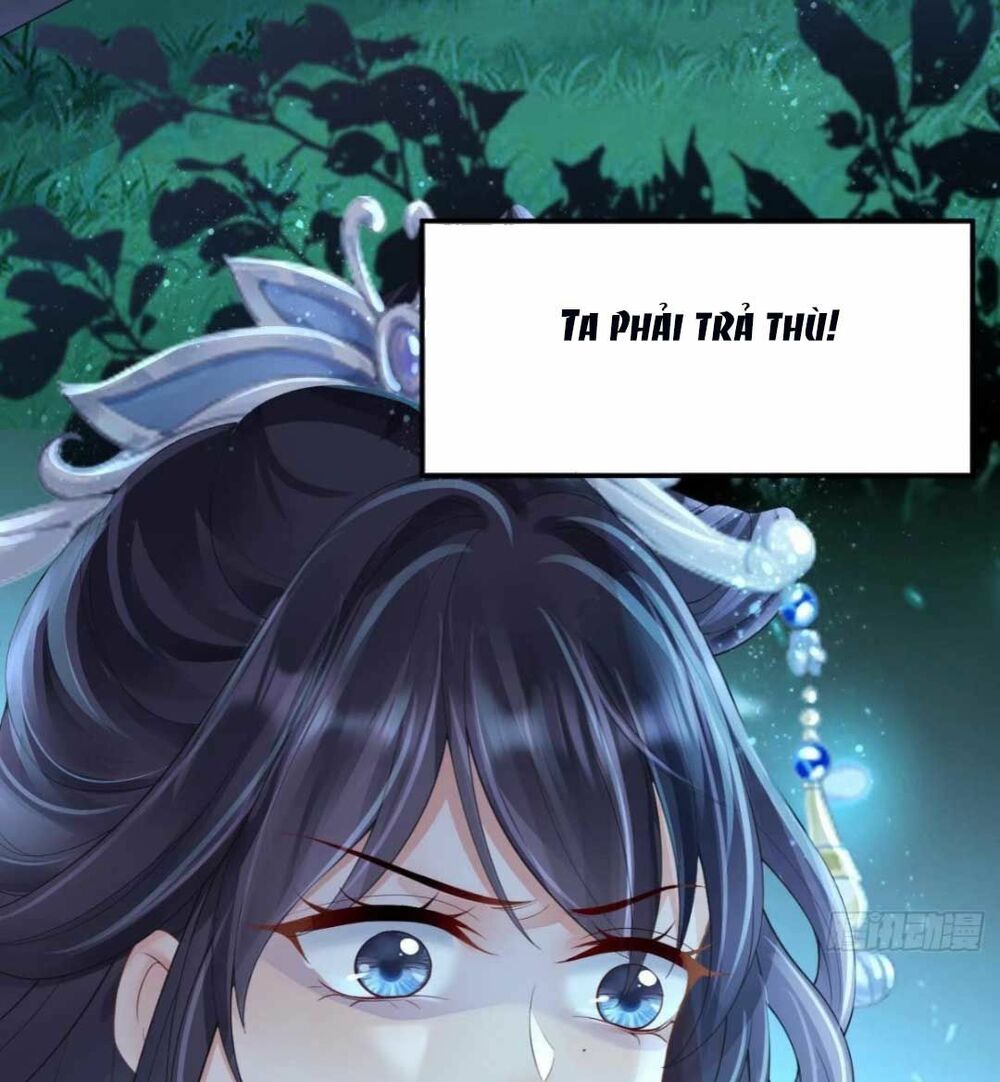 Sự Trả Thù Của Vương Phi: Chapter 1