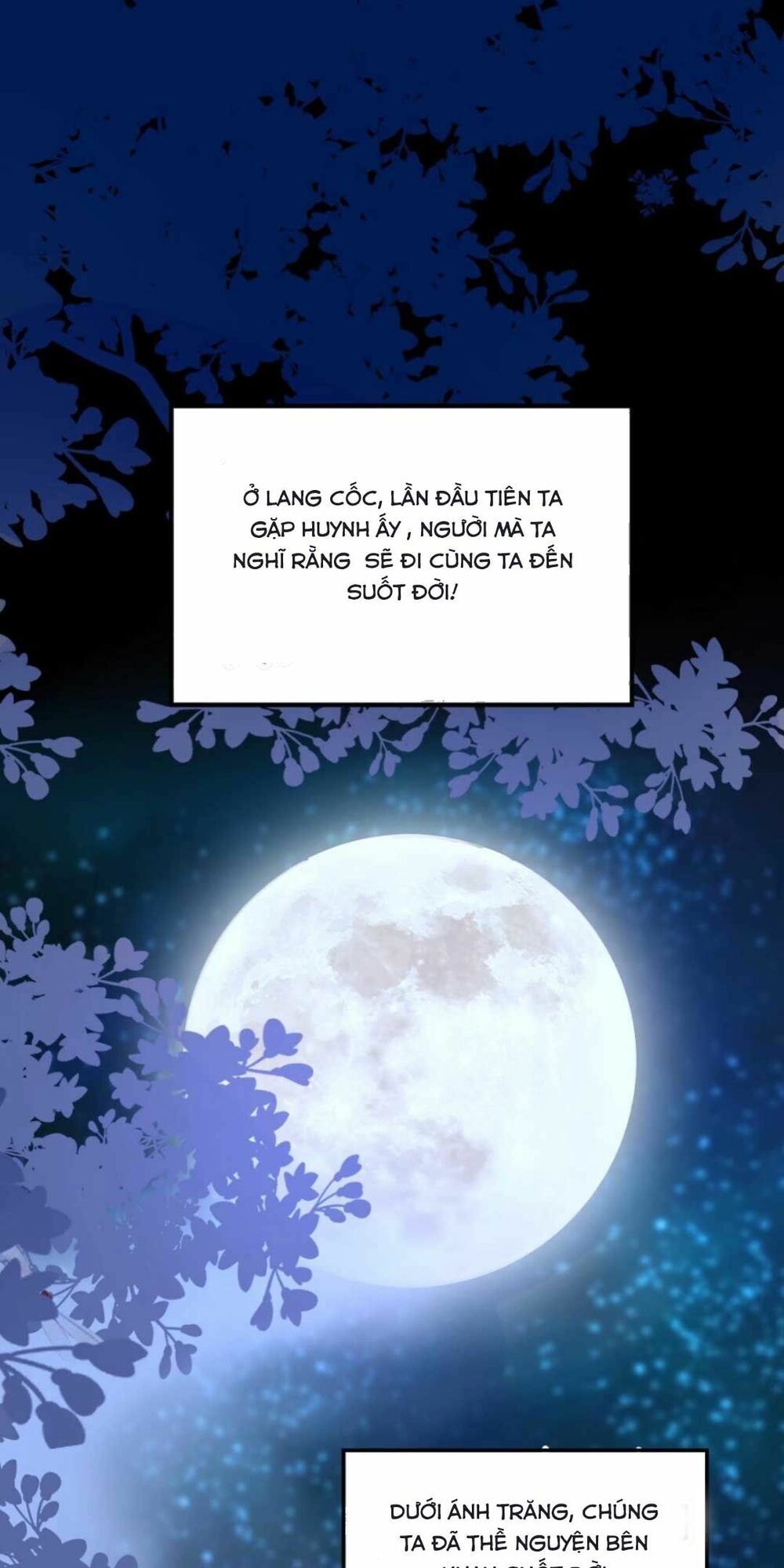 Sự Trả Thù Của Vương Phi: Chapter 1
