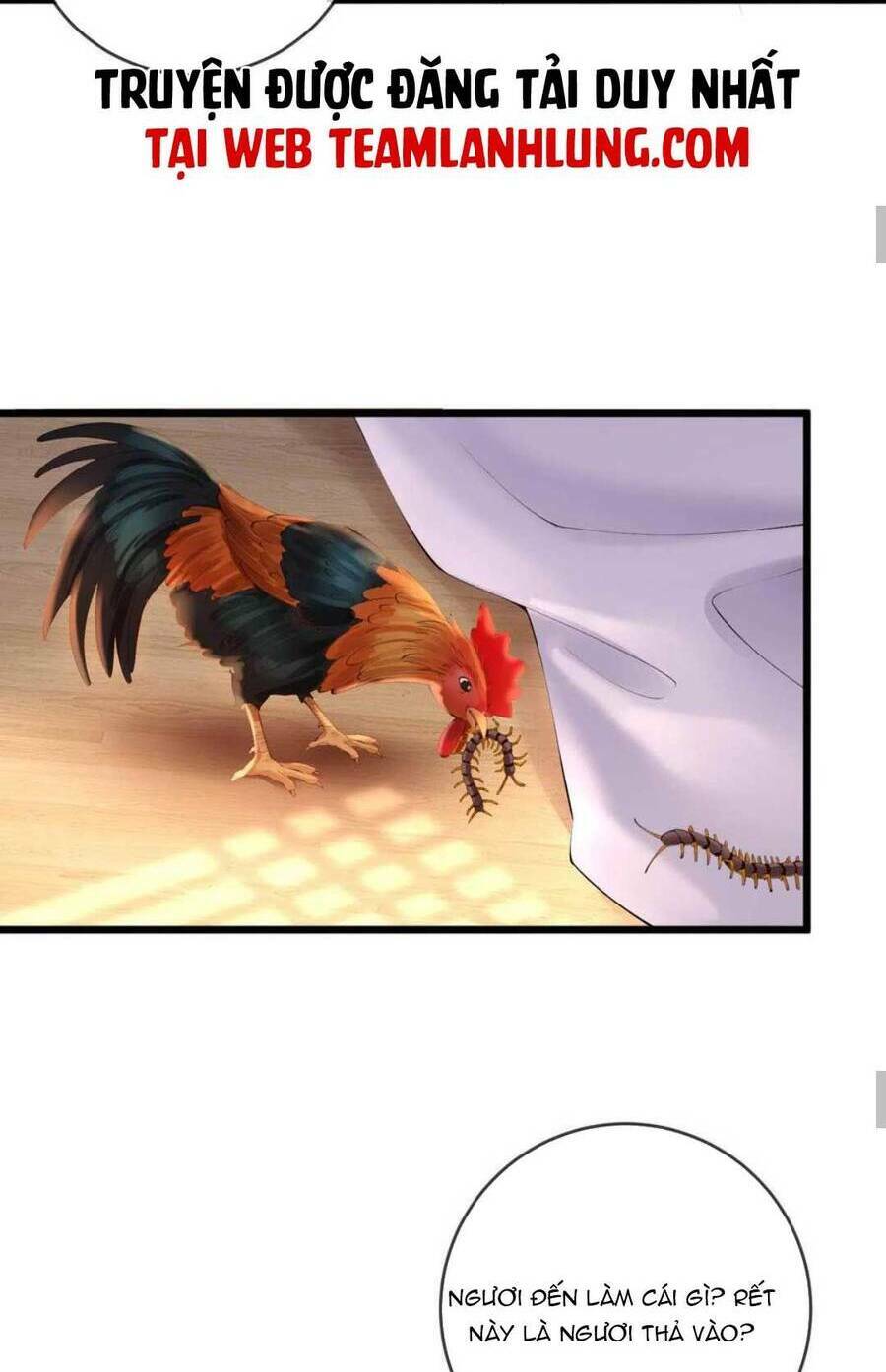 Sự Trả Thù Của Vương Phi: Chapter 62