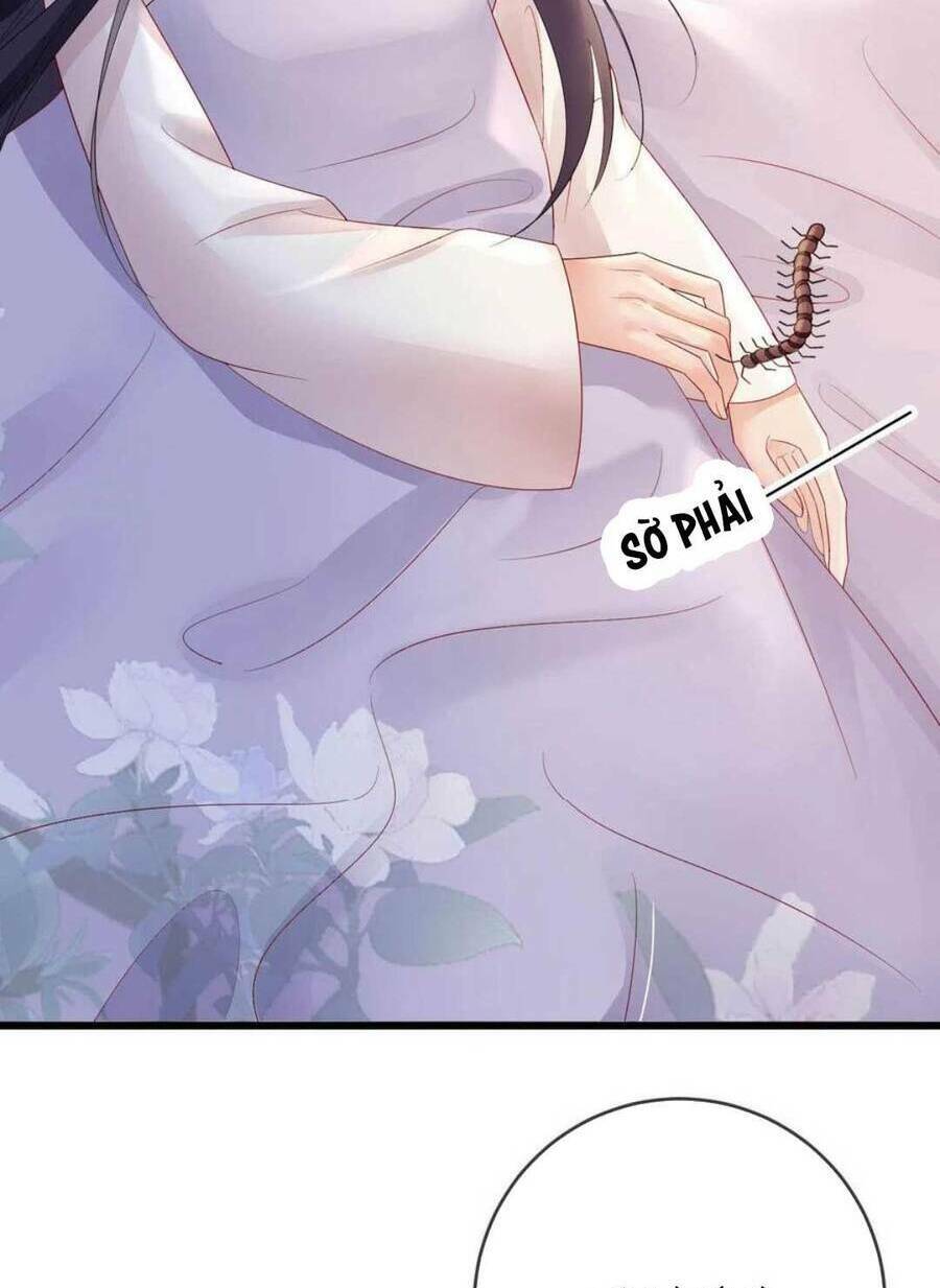 Sự Trả Thù Của Vương Phi: Chapter 62