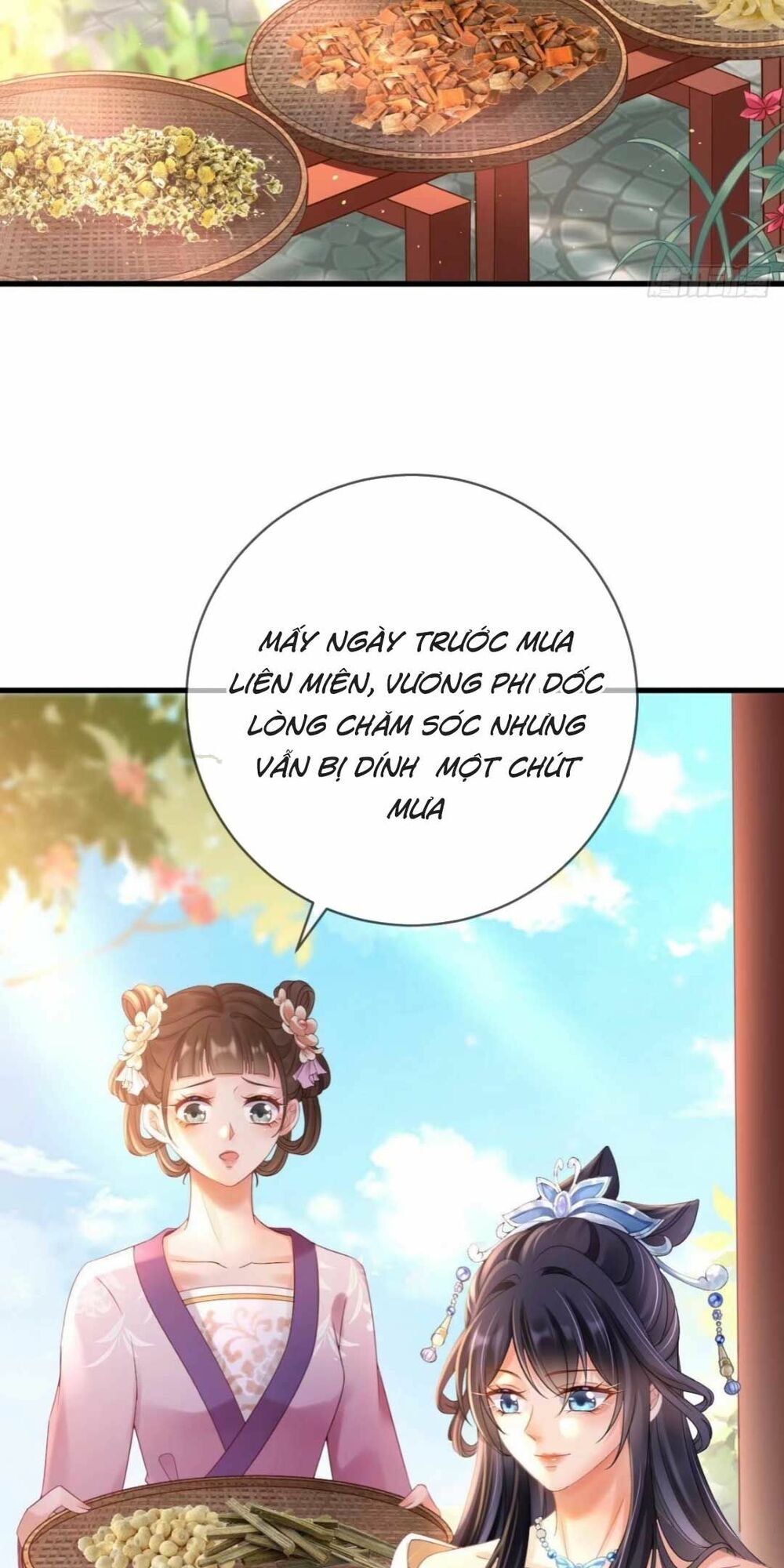 Sự Trả Thù Của Vương Phi: Chapter 8