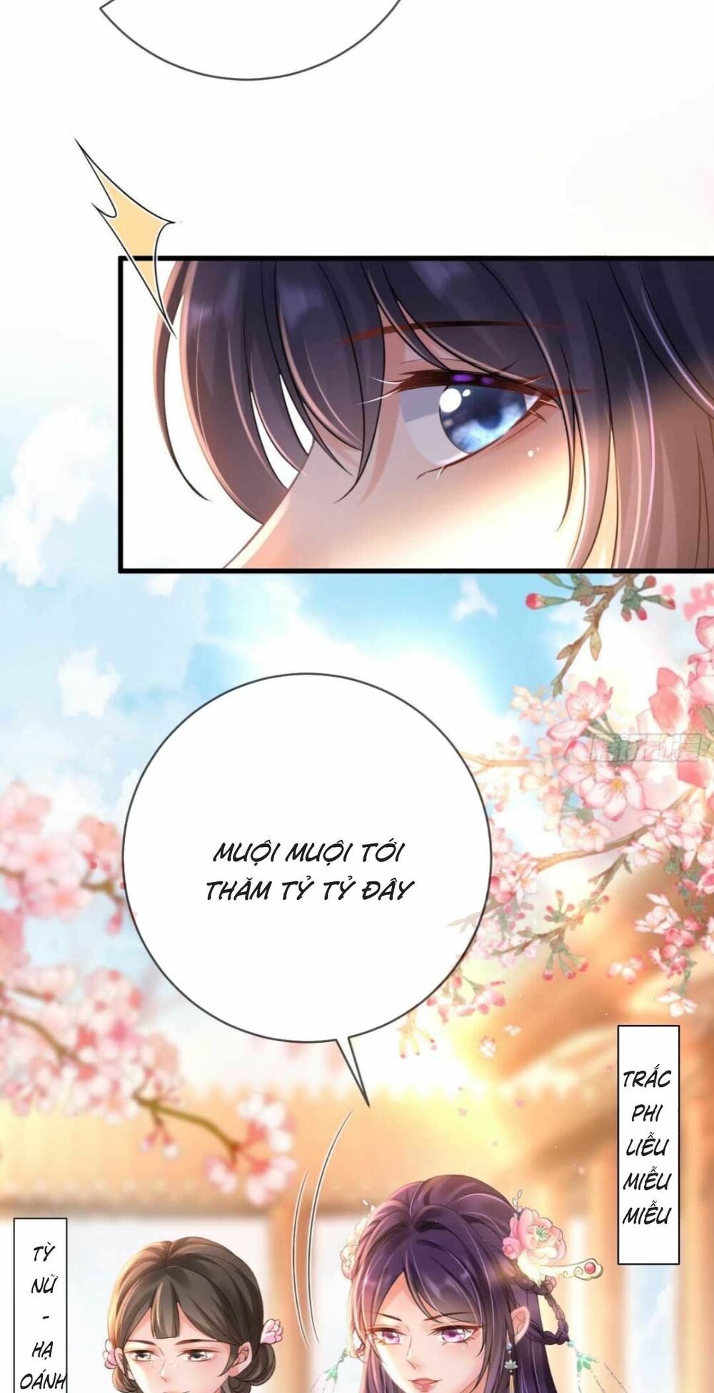 Sự Trả Thù Của Vương Phi: Chapter 8