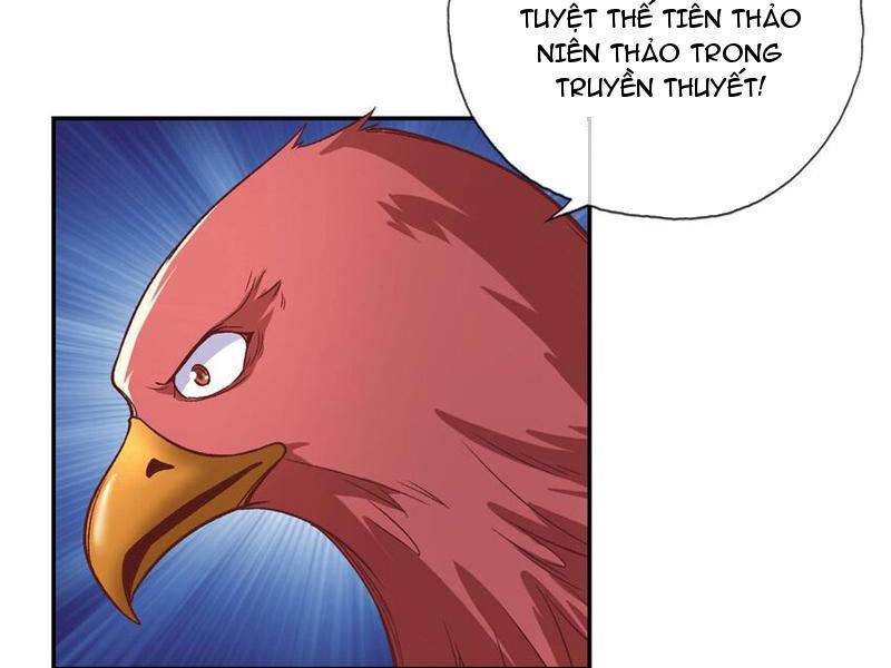 Ta Có Thể Đốn Ngộ Vô Hạn: Chapter 72