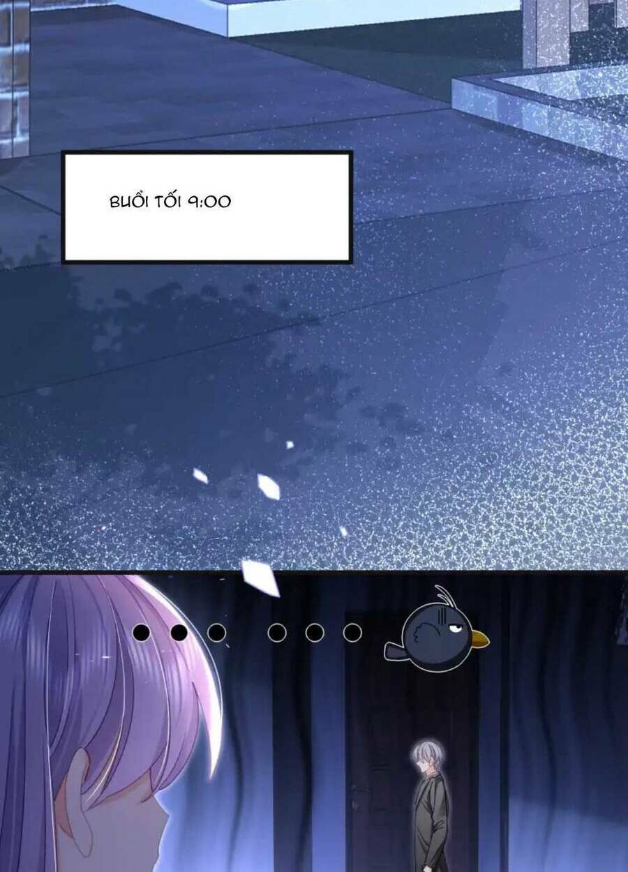 Sủng Em Đến Tận Trời: Chapter 11