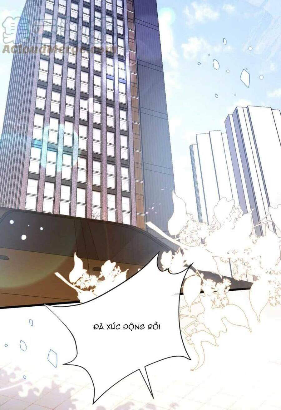 Sủng Em Đến Tận Trời: Chapter 24