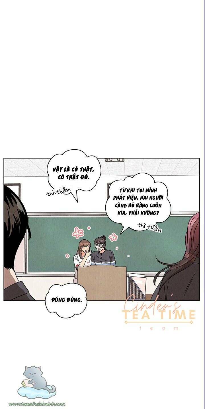 Chào Nhé, Không Làm Thông Gia Nữa Đâu!: Chapter 11