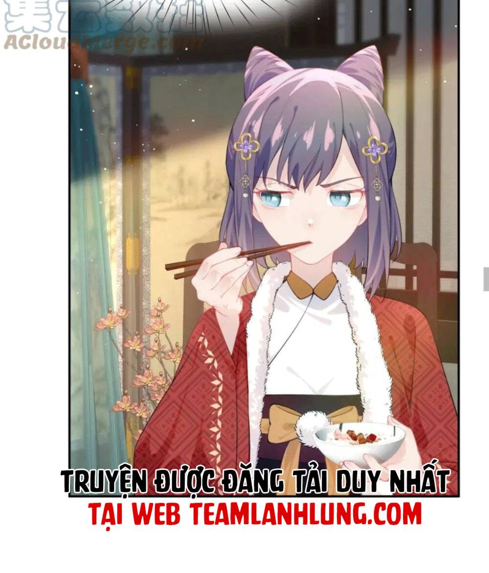 Một Đêm Bệnh Kiều Đột Nhiên Tới: Chapter 102