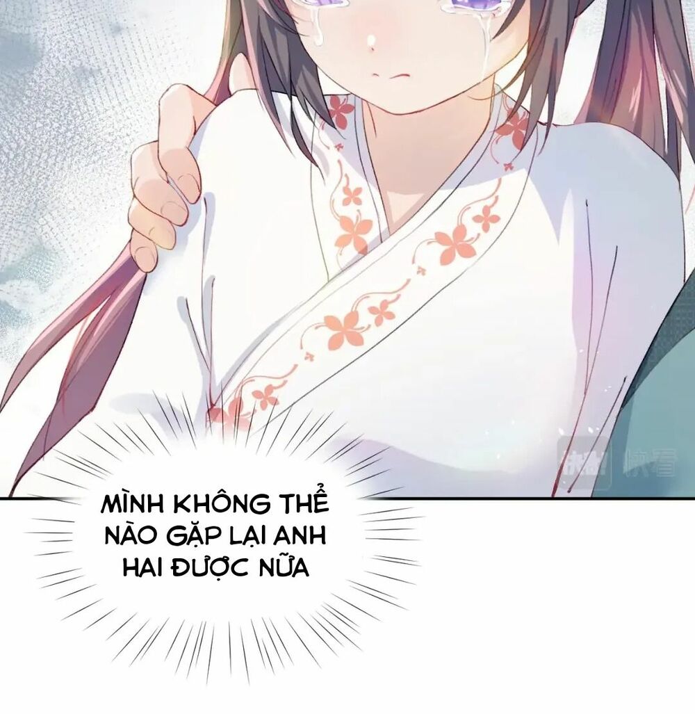 Một Đêm Bệnh Kiều Đột Nhiên Tới: Chapter 2