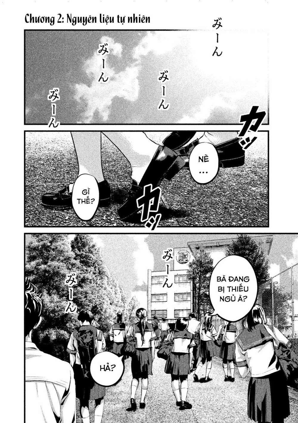 Home Room: Chapter 2: Nguyên liệu tự nhiên