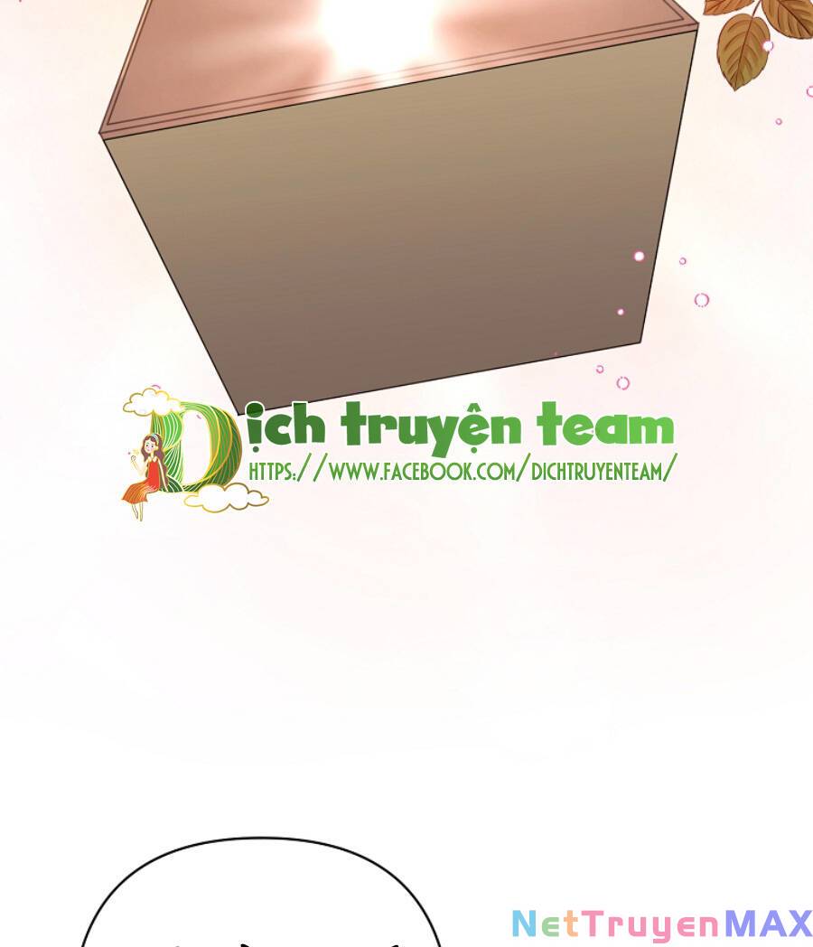 Tôi Đã Nhận Nuôi Nam Chính: Chapter 49