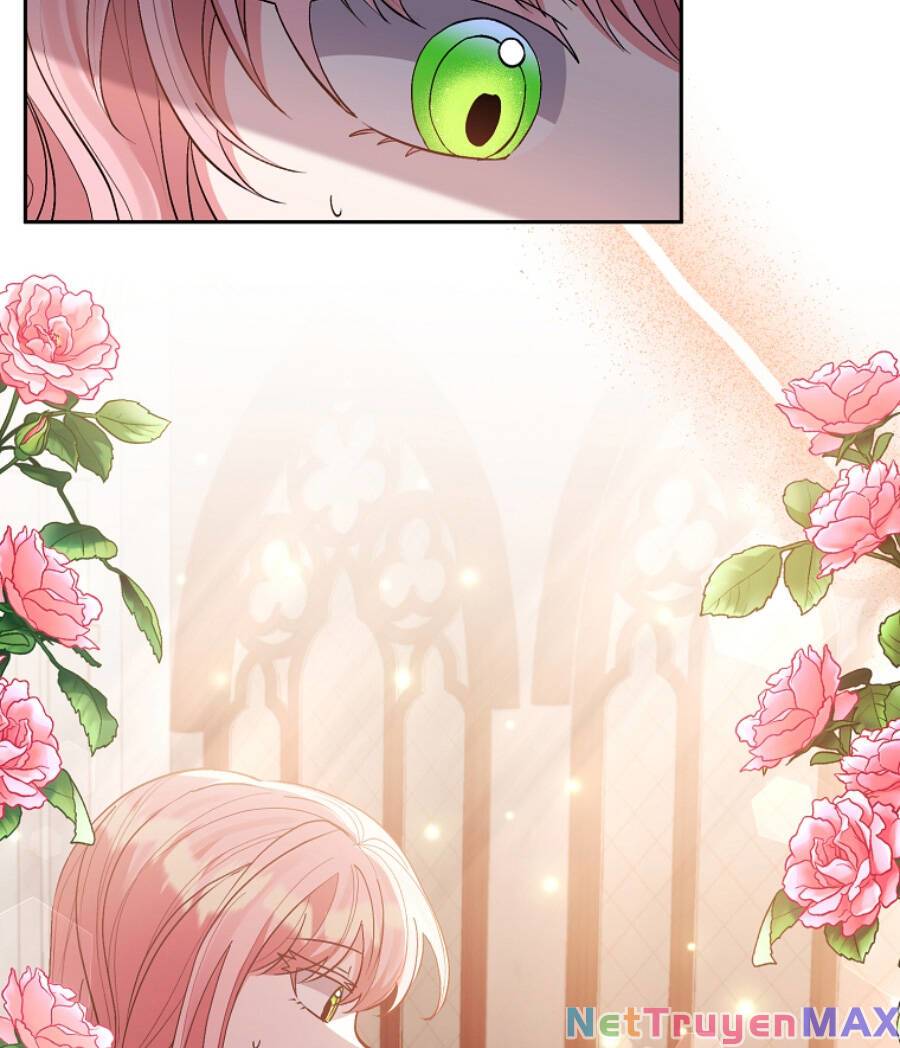 Tôi Đã Nhận Nuôi Nam Chính: Chapter 50