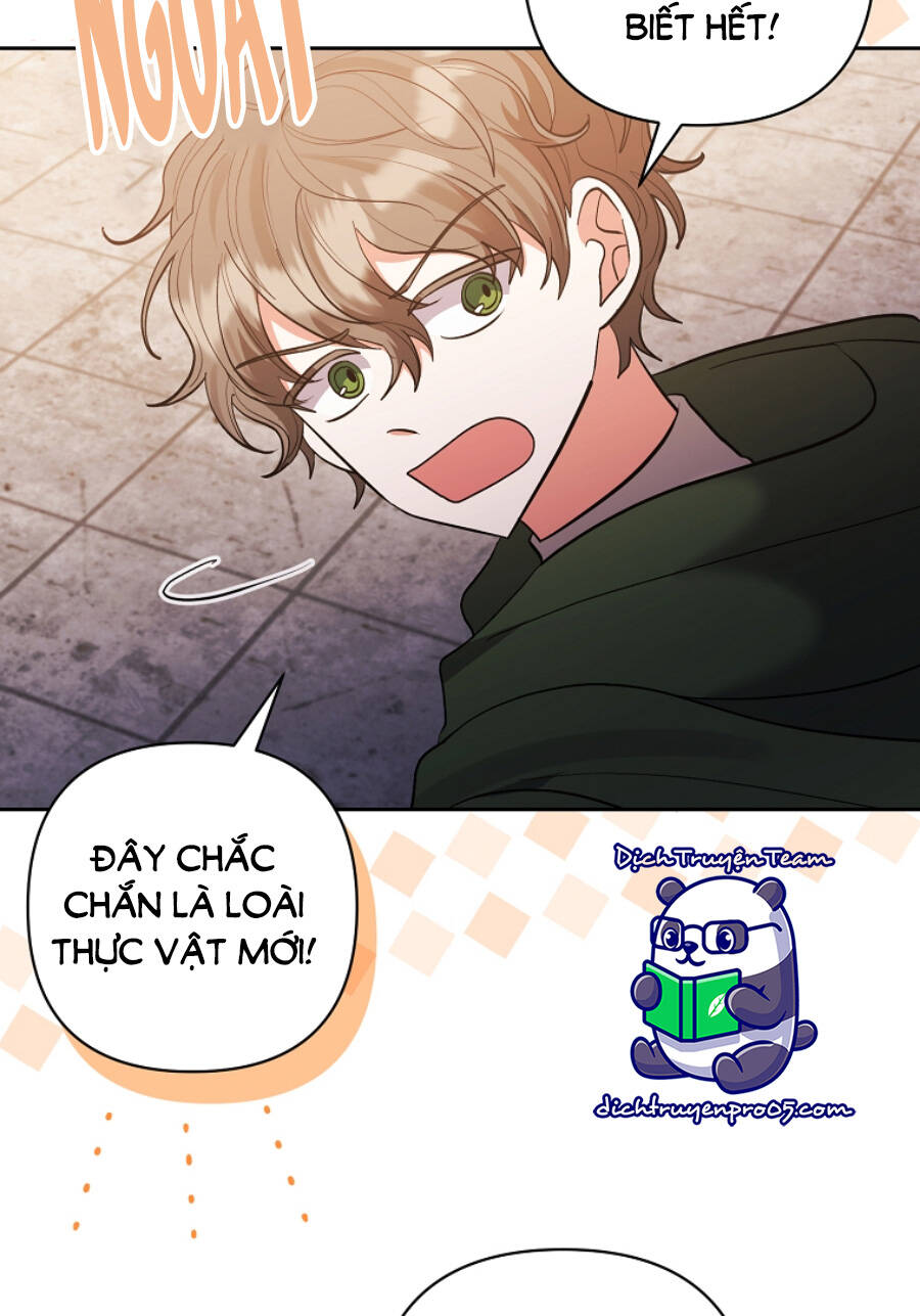 Tôi Đã Nhận Nuôi Nam Chính: Chapter 60