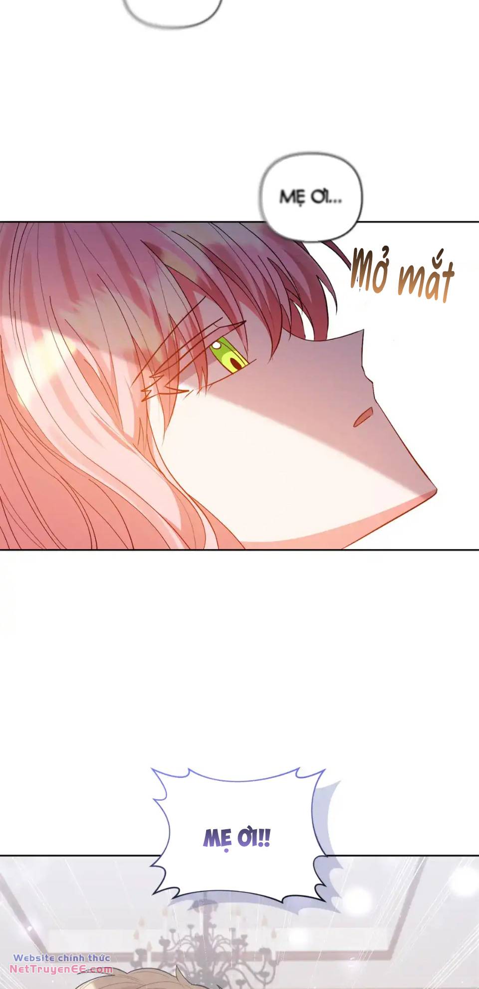 Tôi Đã Nhận Nuôi Nam Chính: Chapter 90: (Hết)