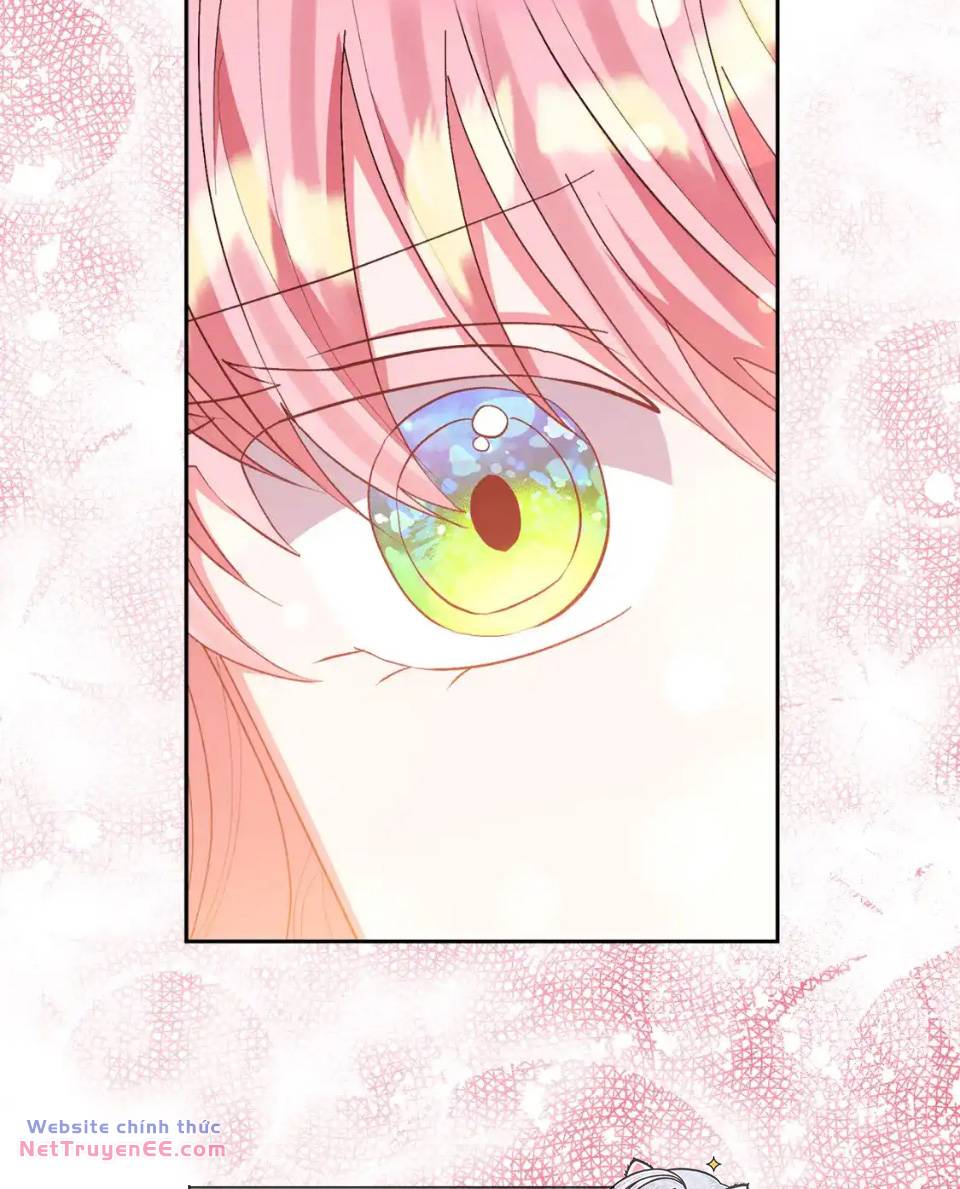 Tôi Đã Nhận Nuôi Nam Chính: Chapter 90: (Hết)
