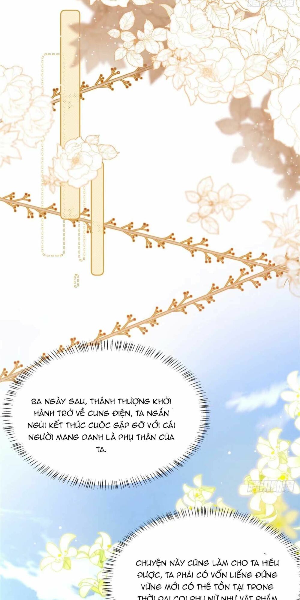 Xuyên Qua Làm Vương Phi Xinh Đẹp Của Vương Gia: Chapter 23