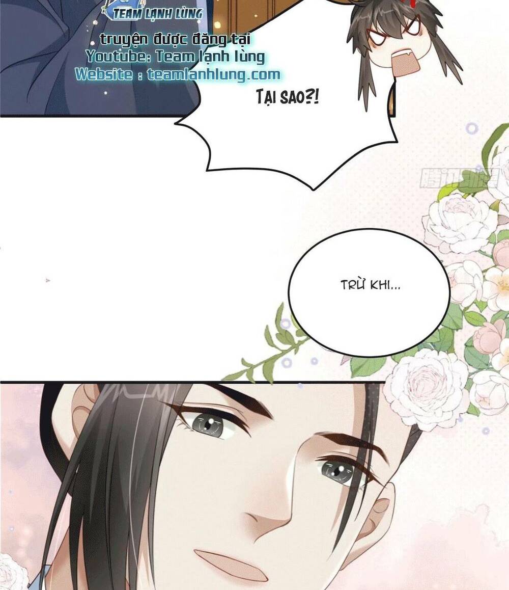 Xuyên Qua Làm Vương Phi Xinh Đẹp Của Vương Gia: Chapter 24
