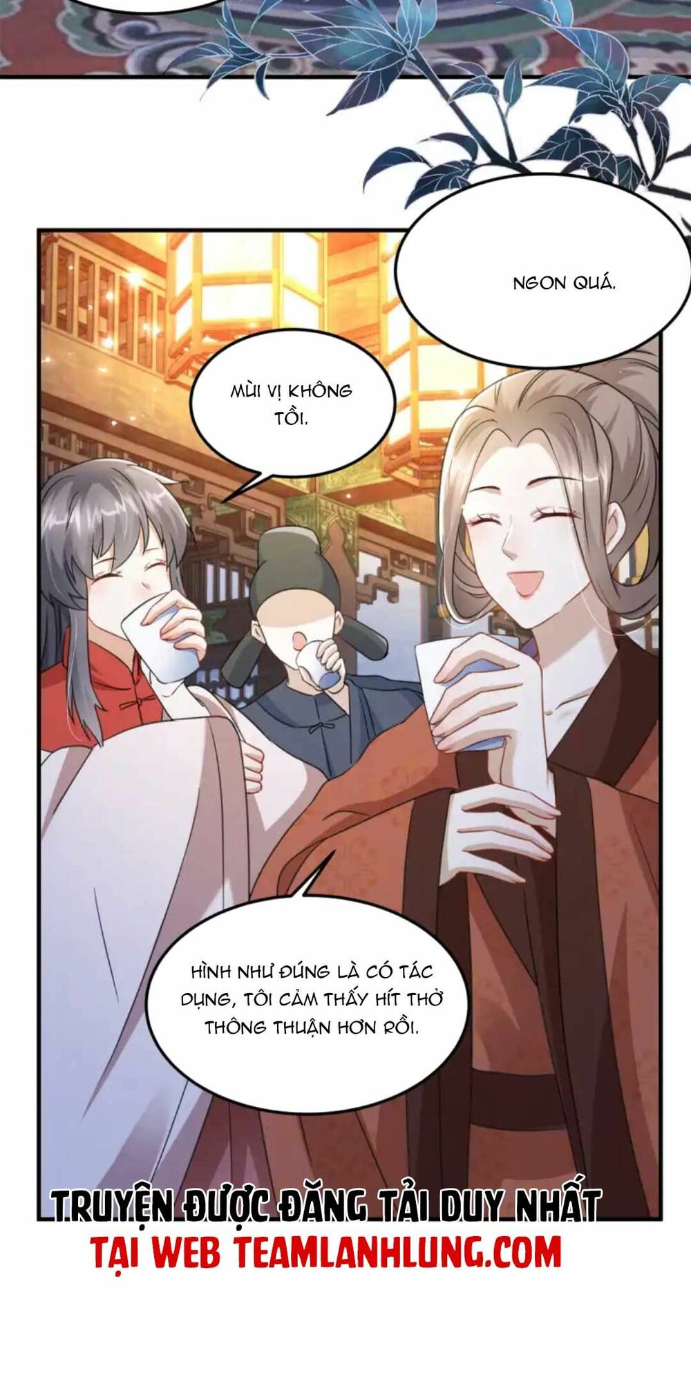Xuyên Qua Làm Vương Phi Xinh Đẹp Của Vương Gia: Chapter 27