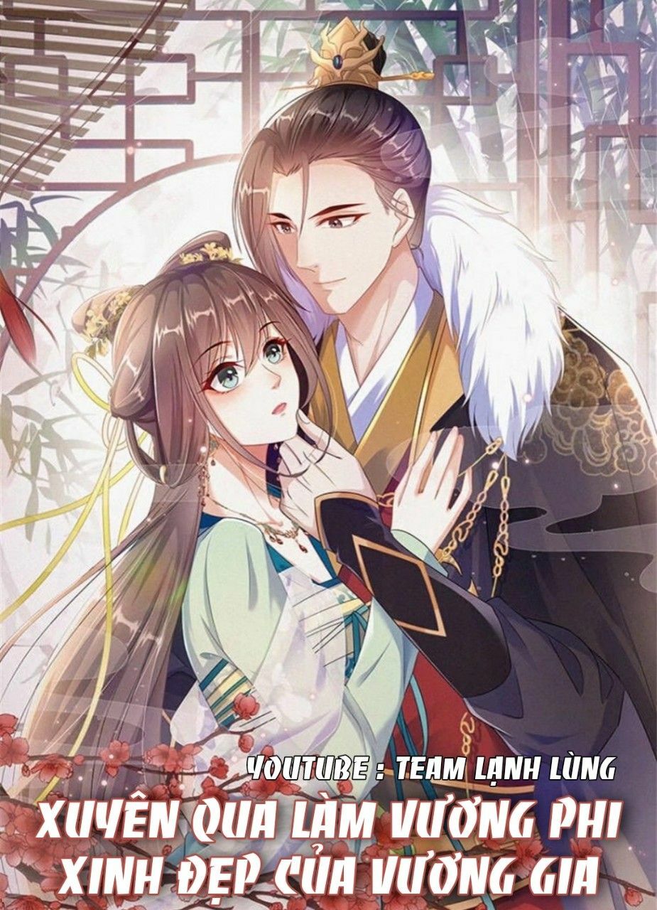 Xuyên Qua Làm Vương Phi Xinh Đẹp Của Vương Gia: Chapter 28