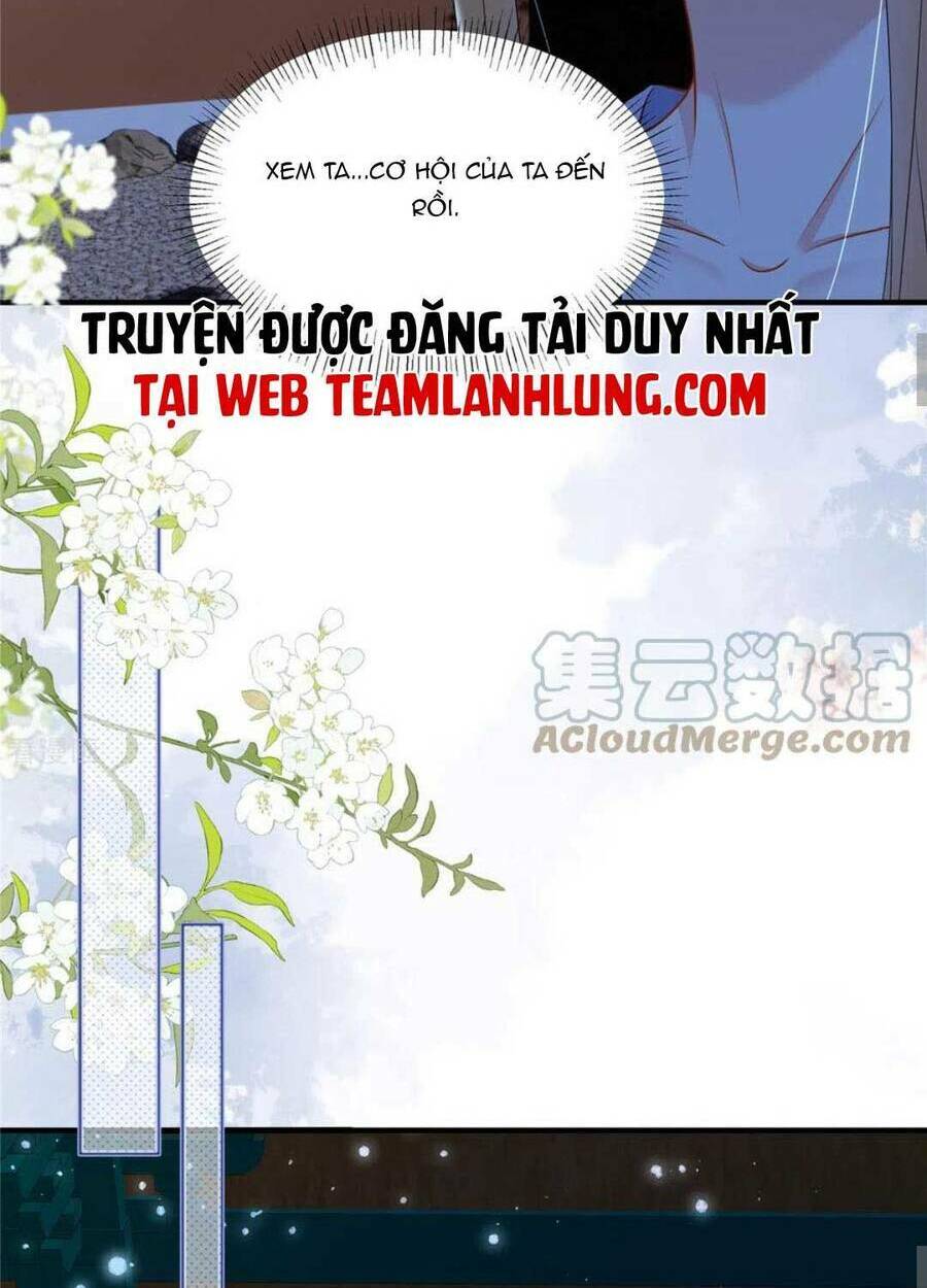 Xuyên Qua Làm Vương Phi Xinh Đẹp Của Vương Gia: Chapter 29