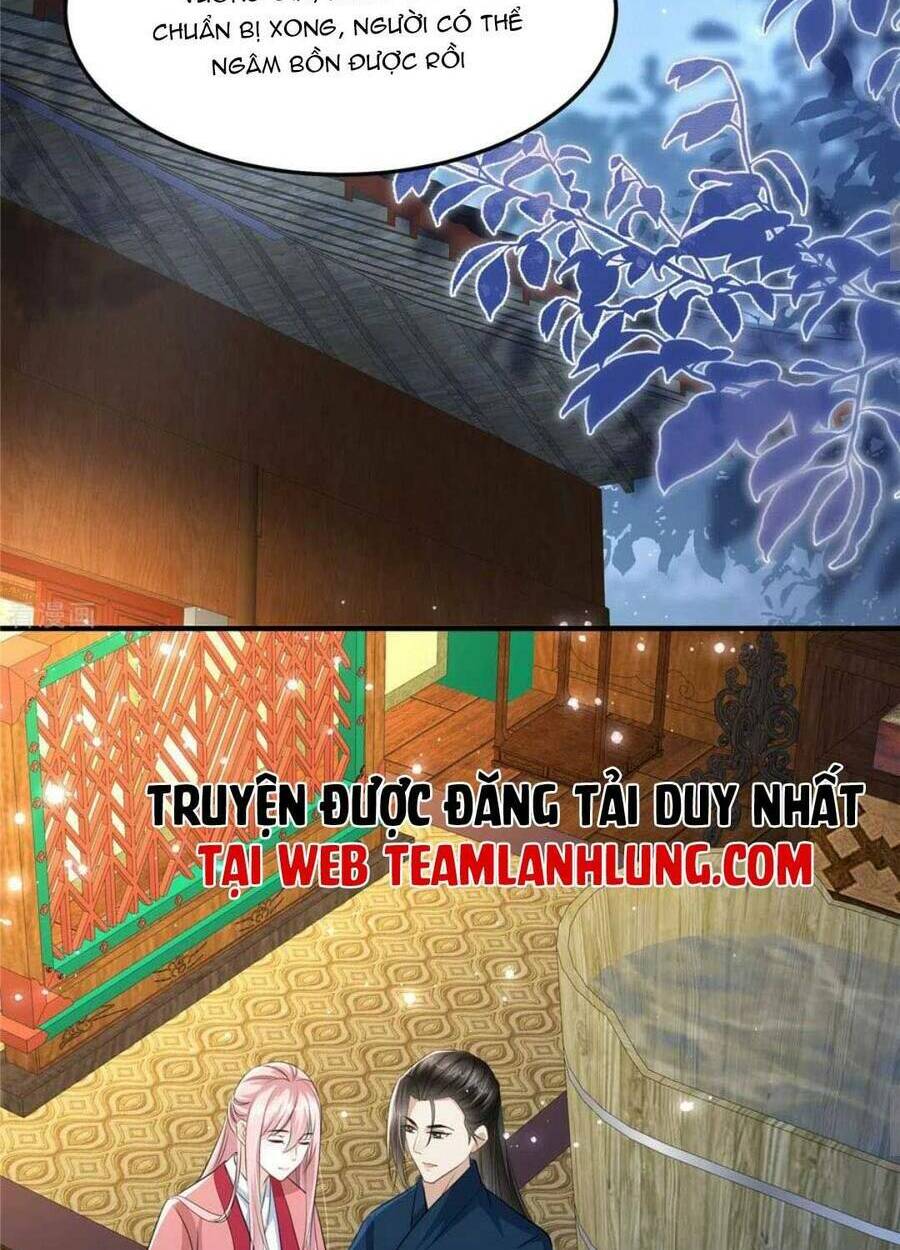 Xuyên Qua Làm Vương Phi Xinh Đẹp Của Vương Gia: Chapter 29
