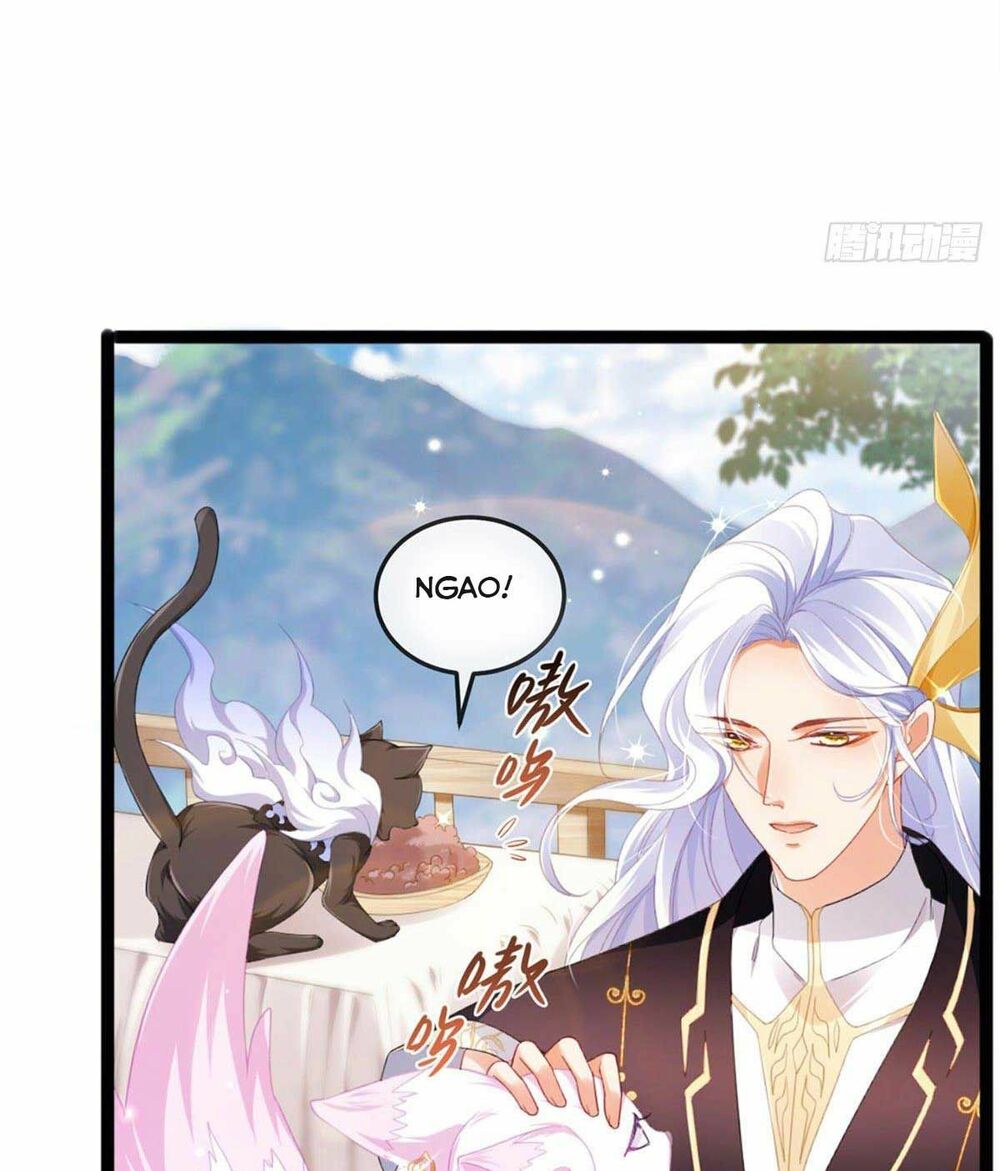 100 Cách Ngược Tra Nữ: Chapter 19