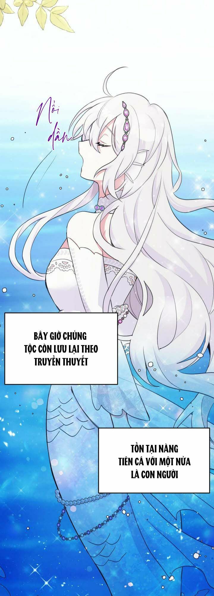 Nàng Công Chúa Tiên Cá: Chapter 1