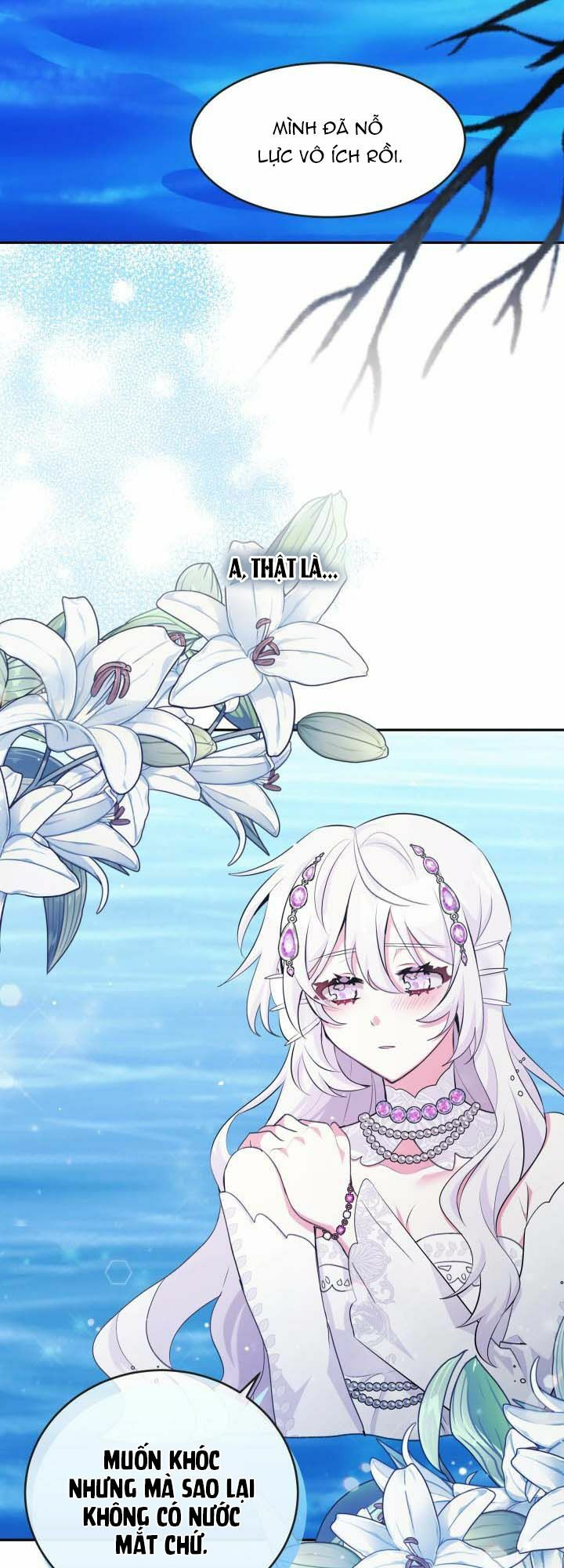 Nàng Công Chúa Tiên Cá: Chapter 1