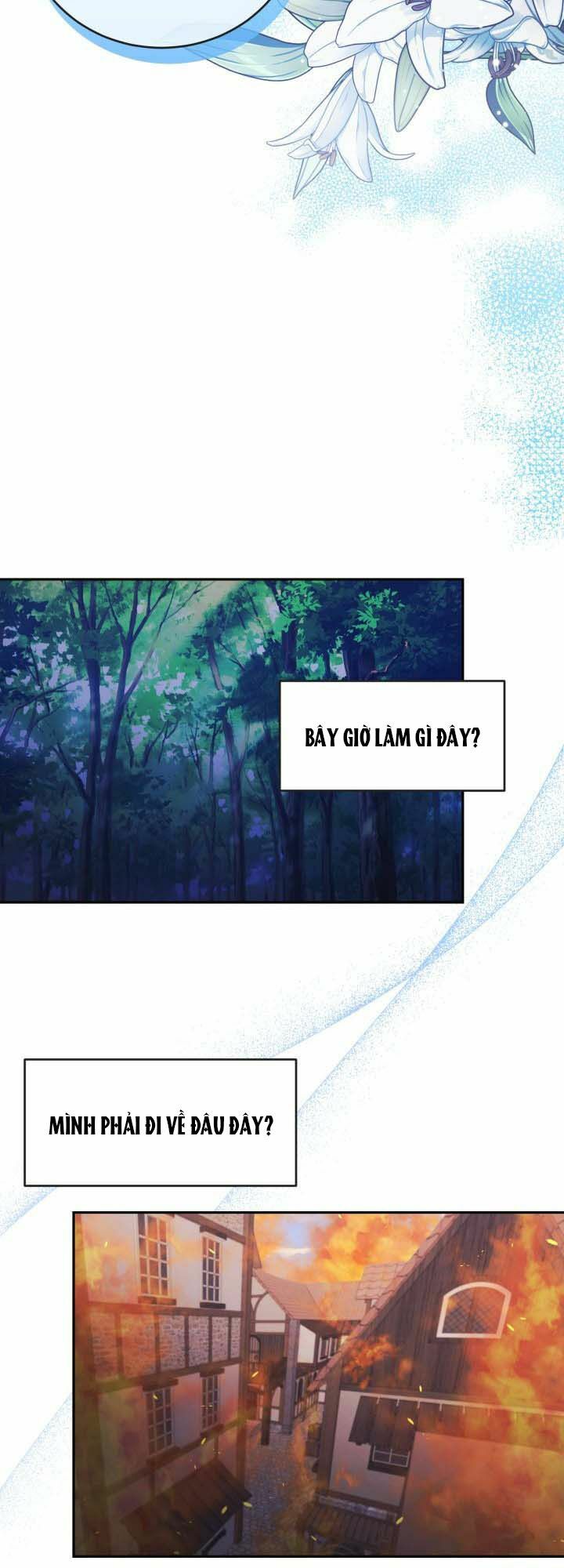Nàng Công Chúa Tiên Cá: Chapter 1